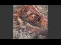 Locust Reign (Live in California)