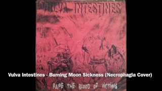 Vulva Intestines - Burning Moon Sickness - Necrophagia Cover