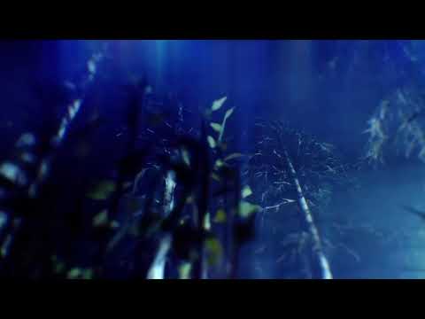 DER EISENDRACHE EASTER EGG IN 2023 LIVE (BLACK OPS III ZOMBIES)