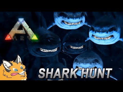 Megalodon Shark Hunt - ARK Survival Evolved