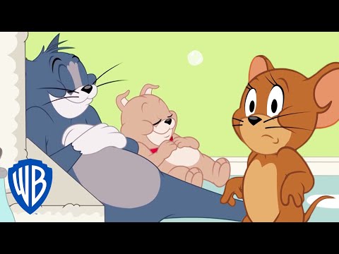 Capa de Tom & Jerry em Português | Brasil | Tyke se Esquece que é um Cachorro | WB Kids