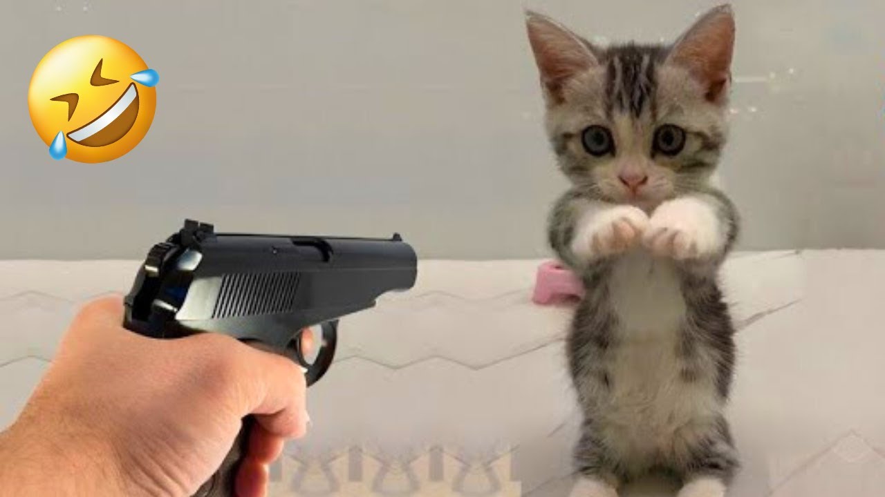 You Laugh You Lose😹🐕Funniest Dogs and Cats