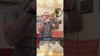 Gloria's Answer by Wolfang Lackerschmid Trumpet Player Sal Musumeci