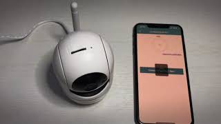 IPC360 camera setup