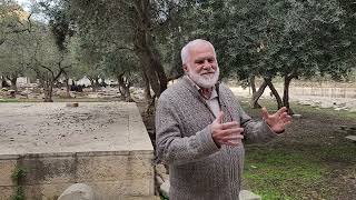 ר׳ יעקב ליבי מרגש ומחזק: כל לוחם נפל למען ישראל, גם הנכד שלי דוד ליבי הי״ד !! (ישיבת הר הבית) - התמונה מוצגת ישירות מתוך אתר האינטרנט יוטיוב. זכויות היוצרים בתמונה שייכות ליוצרה. קישור קרדיט למקור התוכן נמצא בתוך דף הסרטון