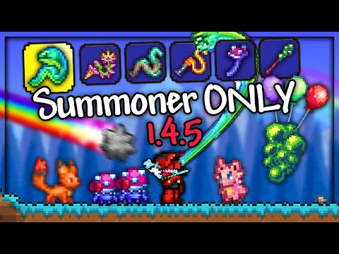 Can I Beat Terraria 1.4.5 Summoner ONLY - MASTER MODE?