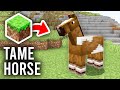 How To Tame Horse In Minecraft Full Guide