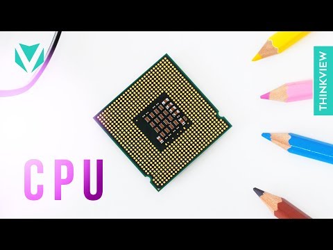 NHÂN - XUNG - LUỒNG: Bạn đã hiểu hết về CPU? || ThinkView
