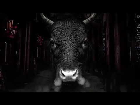 Quem tem amigo corno dá nele um abraço🎶🎼