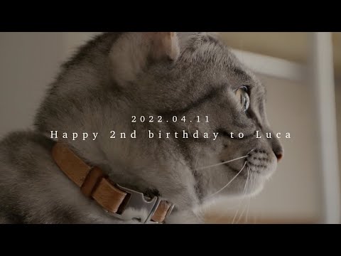 Happy 2nd birthday to Luca | るーちゃん、2歳の誕生日おめでとう。