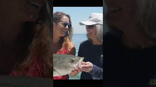 Download lagu We're Back on Instagram! @myfishingcapecod_ryan #Shorts mp3 Download lagu We're Back on Instagram! @myfishingcapecod_ryan #Shorts mp3