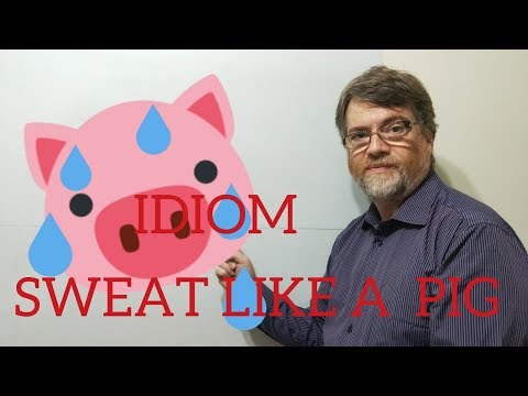 英語の家庭教師ニックPのイディオム (187) 豚のように汗をかく (English Tutor Nick P Idioms (187) Sweat Like a Pig)