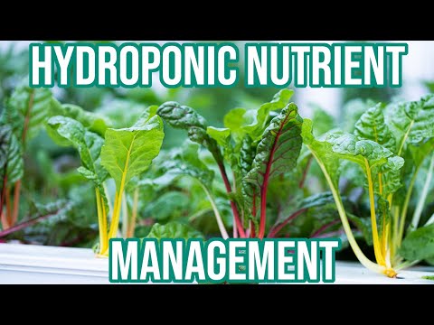 The EASIEST way to manage nutrients in hydroponics!