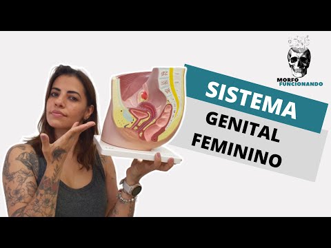 ANATOMIA DO SISTEMA REPRODUTOR FEMININO