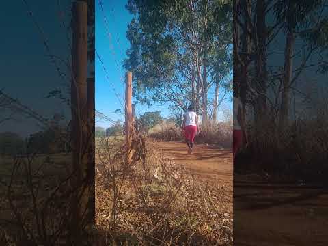 Caminhada sertaneja Comunidade Santa Rita município Vianópolis Goiás Brasil