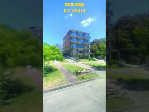 Montevideo 🇺🇾 paseos#turismo#calle Caramurú#Punta Gorda.