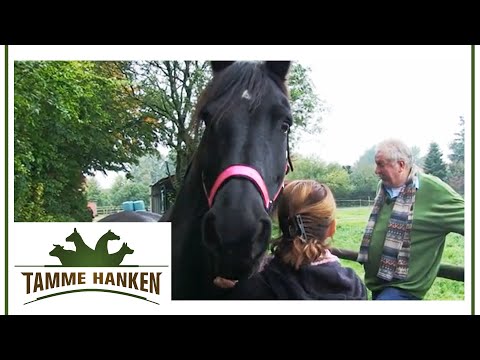 Tamme can't do anything anymore: Friesian mare in poor condition | Tamme Hanken | Kabel Eins