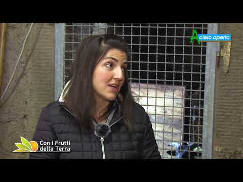 Puntata del 25/4/21 – 2° parte –  Federica ha scelto l'Appennino