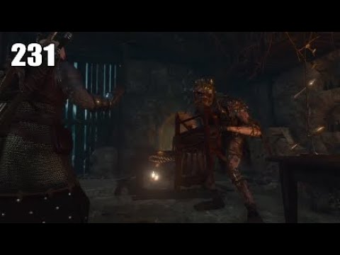 Let's Play Witcher 3 Wild Hunt | Blood and Wine | Part 231