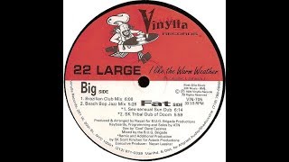 22 Large - I Like The Warm Weather (Beach Bop Jazz Mix)
