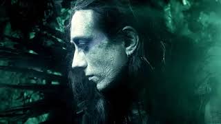 Alcest - Les Iris (Subtitulado en Francés &amp; Español)