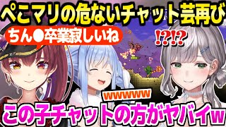 【ホロテラリア】ソロプレイ中のノエル配信にぺこマリ来訪→トークより危険なチャット芸で大盛りあがりｗ「BANされないか不安ｗ」【ホロライブ 切り抜き/白銀ノエル/兎田ぺこら/宝鐘マリン】