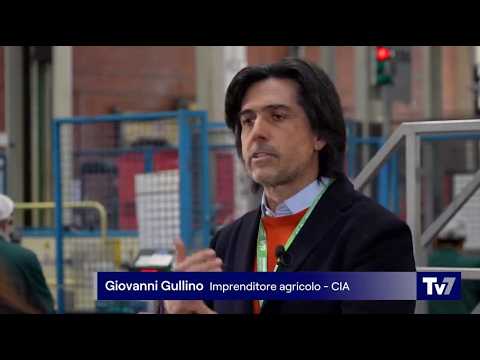Tv7 TG1 - Navi ferme, ortofrutta in stallo. Con Giovanni Gullino (Cia)