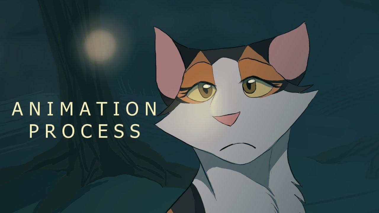 Process of Cat Animation