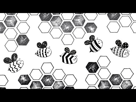 Summer Bees Adventure - High Contrast Baby Sensory fun video Classical Mozart music