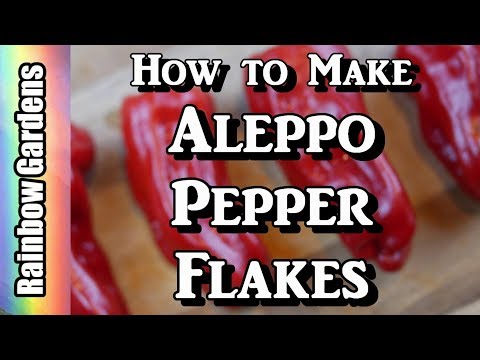 download lagu mp3 mp4 Aleppo Chile Flakes, download lagu Aleppo Chile Flakes gratis, unduh video klip Aleppo Chile Flakes
