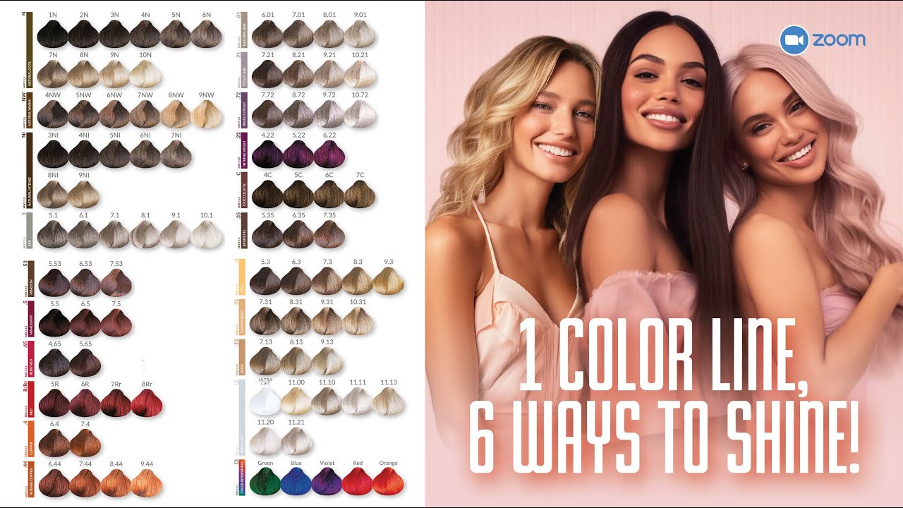 1 Color Line, 6 ways to shine - Product knowledge