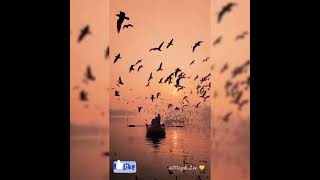 Download lagu Edcoustic - Muhasabah Cinta mp3 Download lagu Edcoustic - Muhasabah Cinta mp3