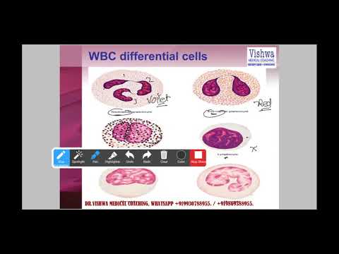 Introduction to CBC INTERPRETATION ABC OF CBC Lecture 6 ABC OF CBC ON WBC ABC OF CBC COMPLETE
