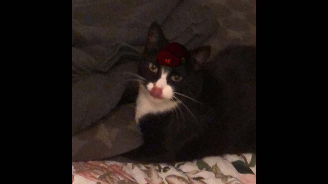 Planetside 2 Clip Dump 4