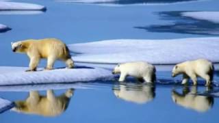 Sara Noxx Project Pitchfork Earth Song