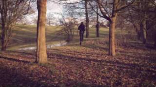 Wild Palms - Deep Dive