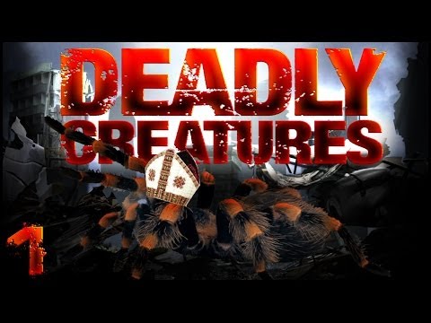 Deadly Creatures Wii