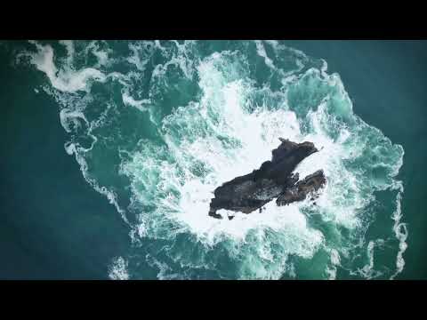 PATRICK HAMILTON - A NEW BEGINNING (Revisited) (OFFICIAL VIDEO)