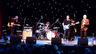 Andy Fairweather Low at Blackwood Stute