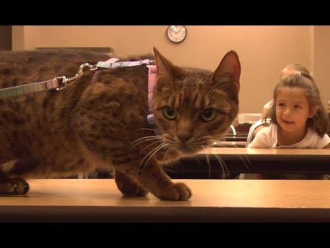 Kids Learn How to Take Care of Pets