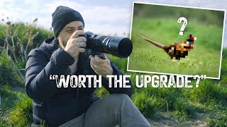 Video thumbnail for OM System 100–400mm IS II – A Real-World Review for Nature & Wildlife by Through The Poetic Lens