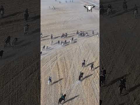 Ambiente de las fiestas de Cuellar 2026 a vista de dron II
