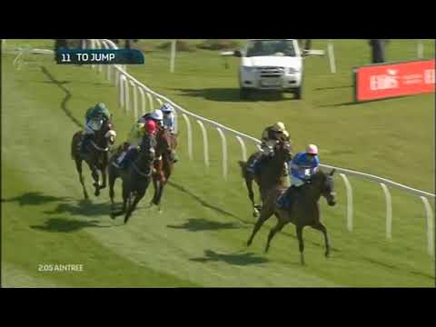 2015 Doom Bar Maghull Novices' Chase - Aintree meeting