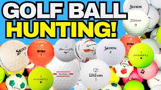 We Found HUNDREDS of Golf Balls in a Dried Up Lake! (Golf Ball Hunting)