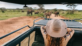 Gosheni Safaris  Africa  - The best tour operator  in Tanzania