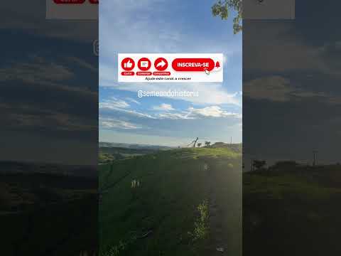 Na cidade grande você sobrevive e no interior você vive.  #interior #parana #ribeiraoclaro