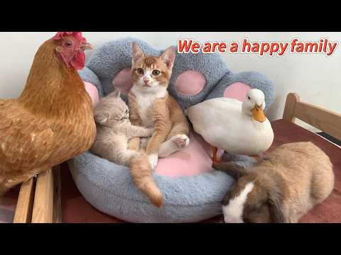 YouTube 썸네일