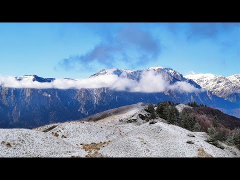 Baiului iarna: Culmea Zamora - Baiul Mare - Piscul Câinelui