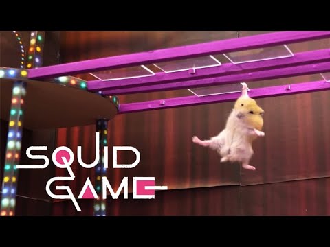 Squid Game vs Hamsterious: All Amazing Challenges