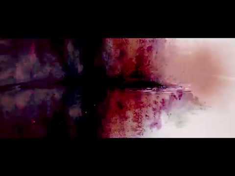 Der Verfall - LSD Intro (Crazy Color Mix)  -  Butcher Music